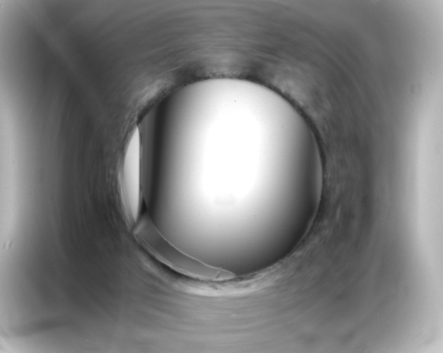 X0000086920017200704301106