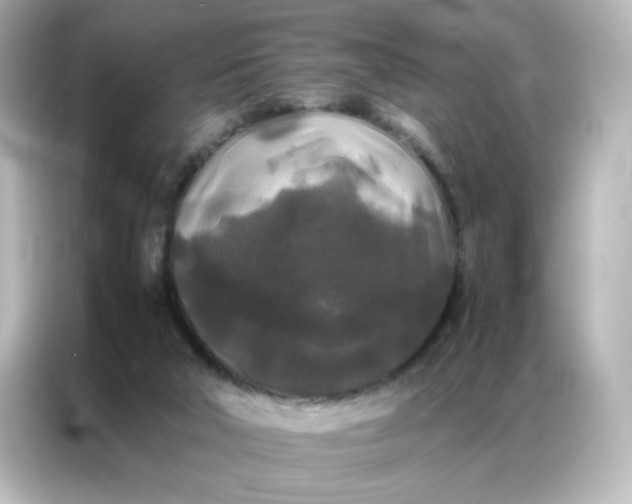 X0000086920018200704301106