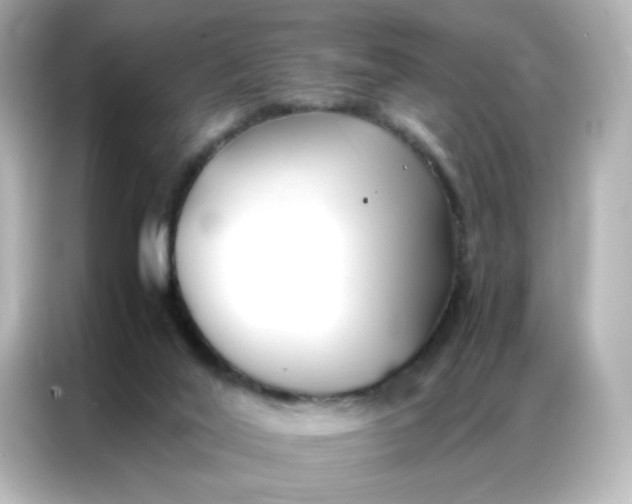 X0000086920020200704301106