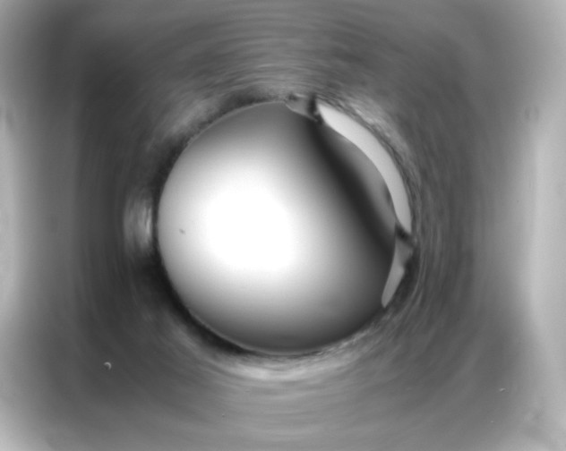 X0000086920021200704301106
