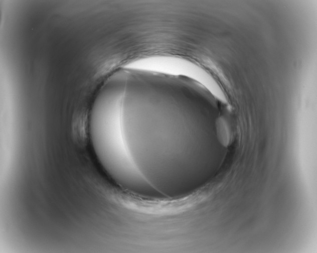 X0000086920023200704301106