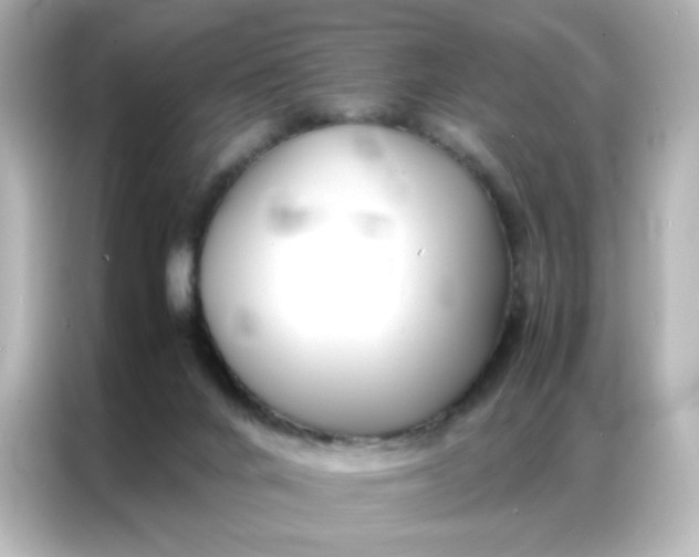 X0000086920024200704301106