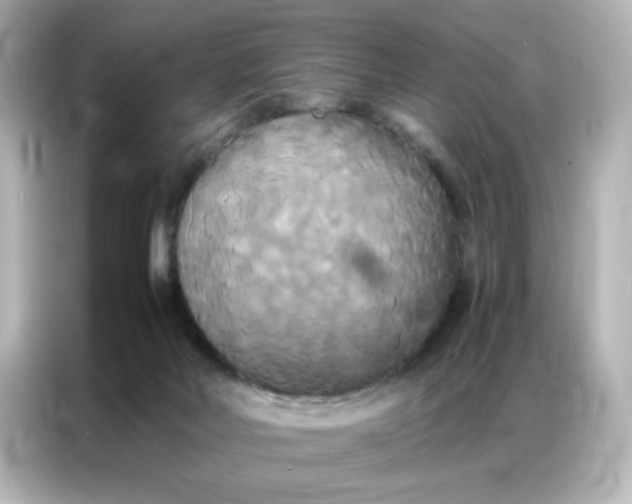 X0000086920026200704301106