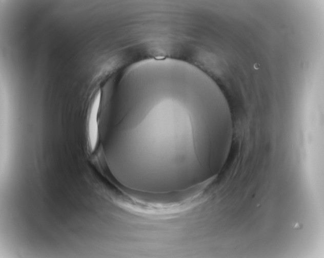 X0000086920027200704301106