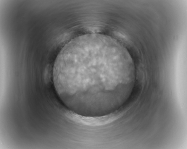 X0000086920030200704301106