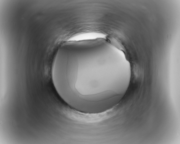X0000086920031200704301106