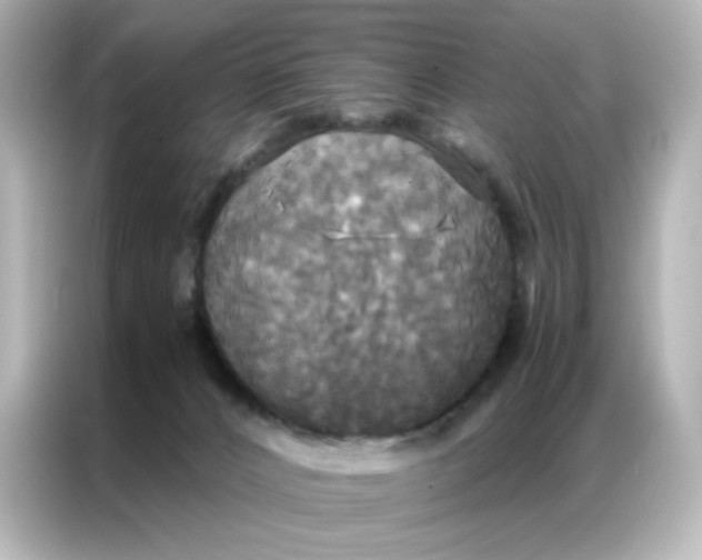 X0000086920032200704301106