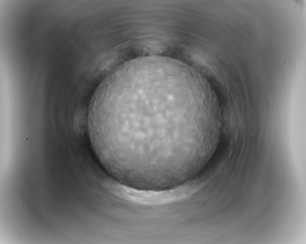 X0000086920034200704301106