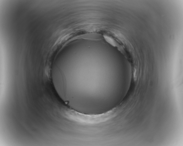 X0000086920035200704301106