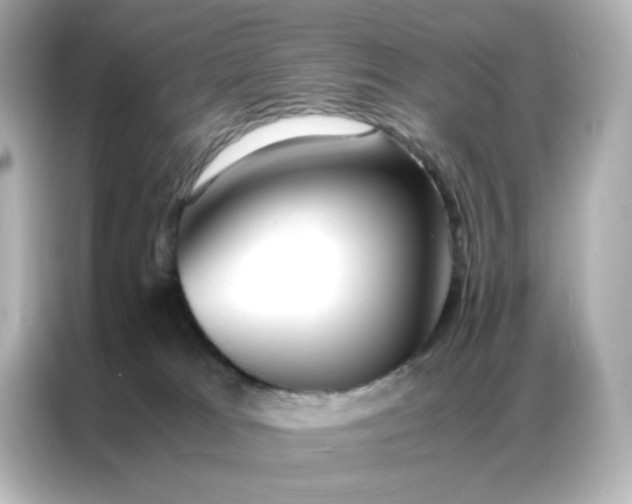X0000086920037200704301106