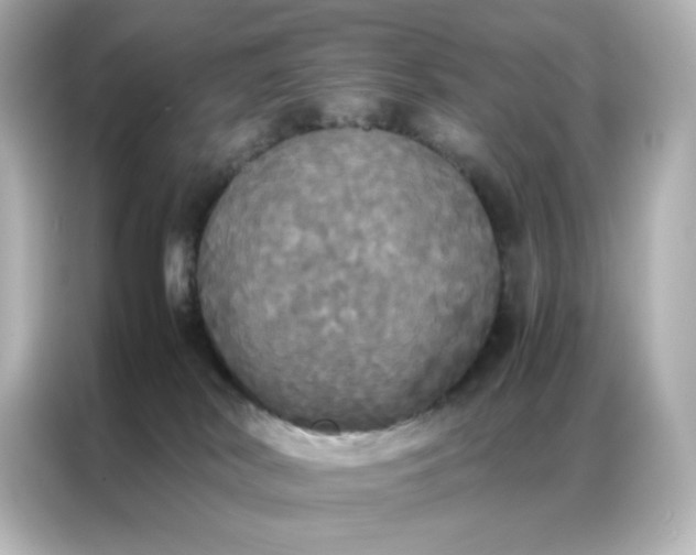 X0000086920038200704301106