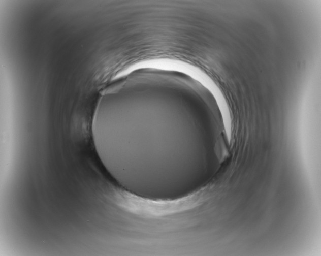 X0000086920039200704301106