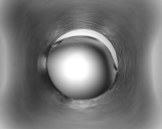 X0000086920041200704301106