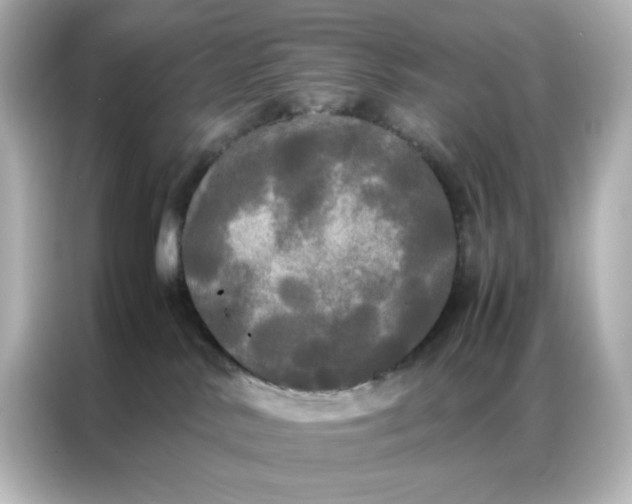 X0000086920042200704301106