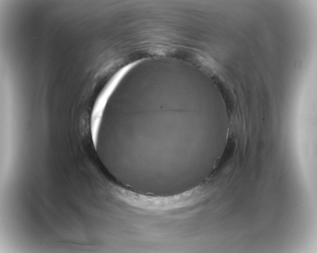 X0000086920043200704301106