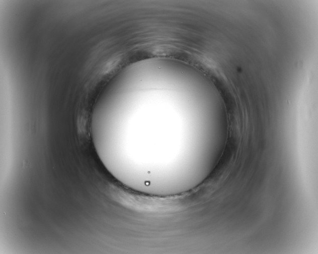 X0000086920044200704301106