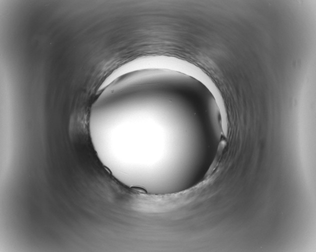 X0000086920045200704301106