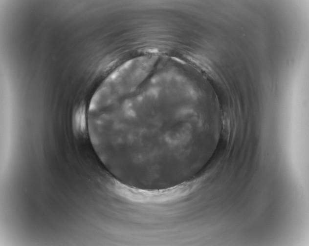 X0000086920046200704301106
