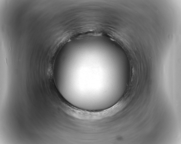 X0000086920048200704301106
