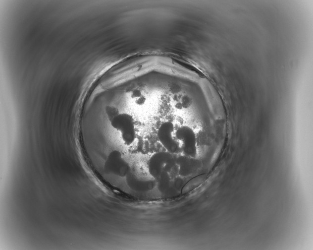 X0000086920049200704301105