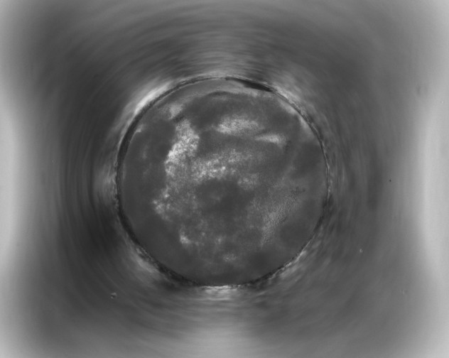 X0000086920050200704301105