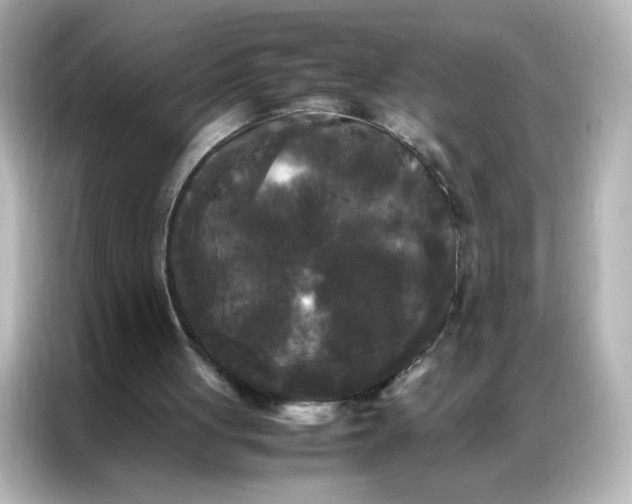 X0000086920051200704301105