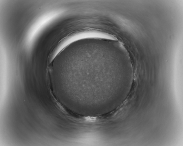 X0000086920052200704301105