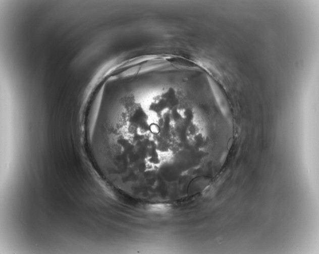 X0000086920053200704301105