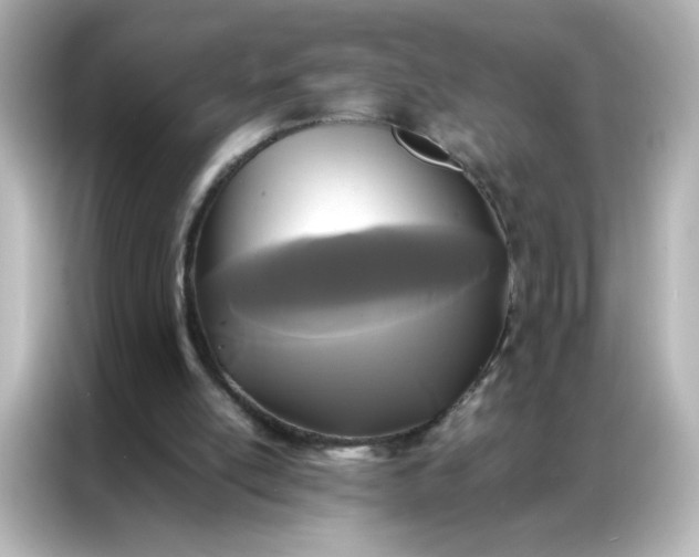 X0000086920054200704301105