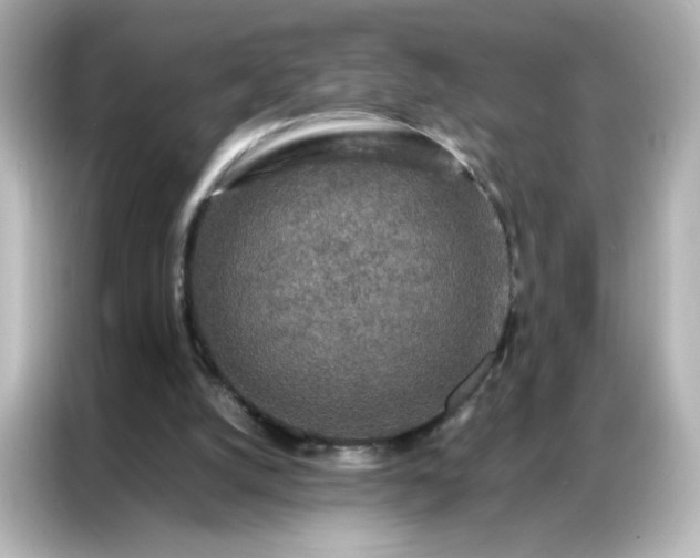 X0000086920056200704301105
