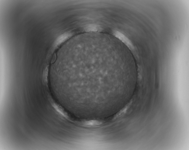 X0000086920058200704301105