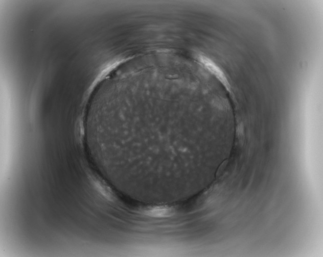 X0000086920059200704301105