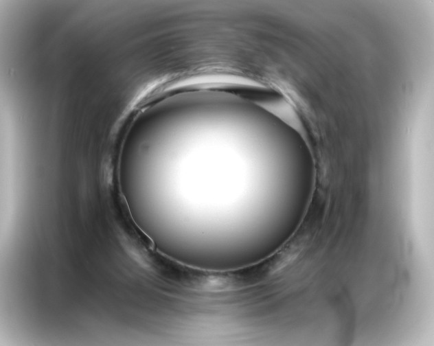 X0000086920060200704301105