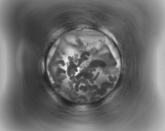 X0000086920061200704301105