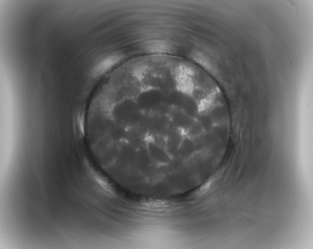 X0000086920062200704301105