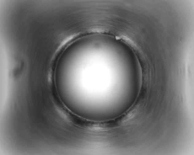 X0000086920064200704301105