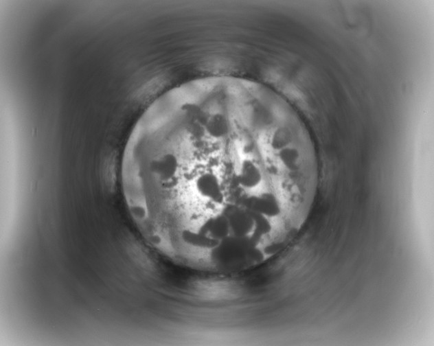 X0000086920065200704301105