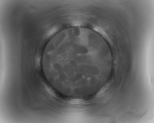 X0000086920066200704301105