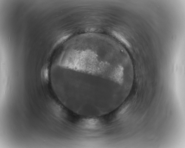 X0000086920067200704301105