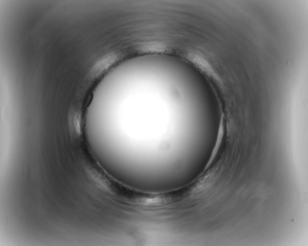 X0000086920068200704301105