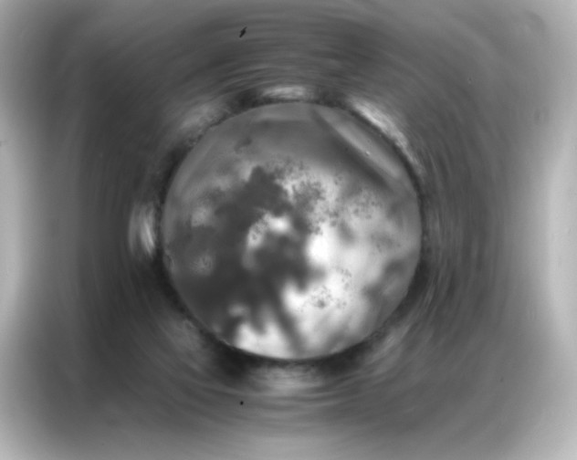 X0000086920069200704301105