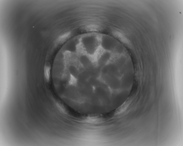 X0000086920070200704301105
