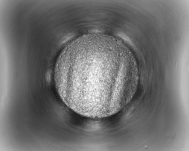 X0000086920071200704301105
