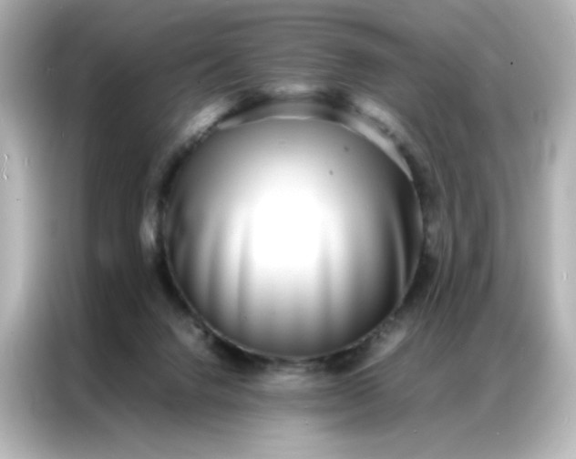 X0000086920072200704301105