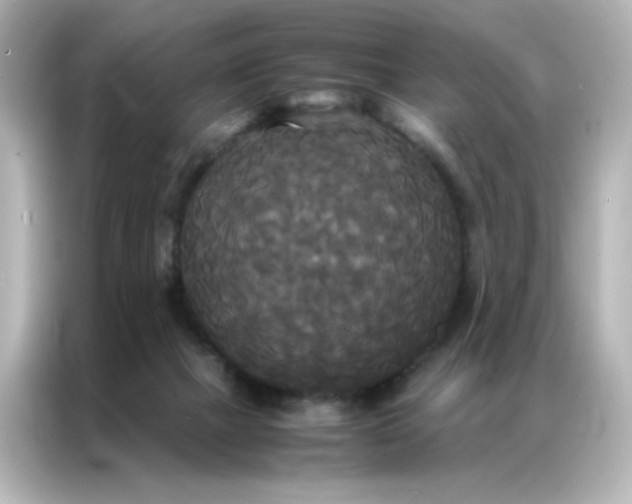 X0000086920073200704301105