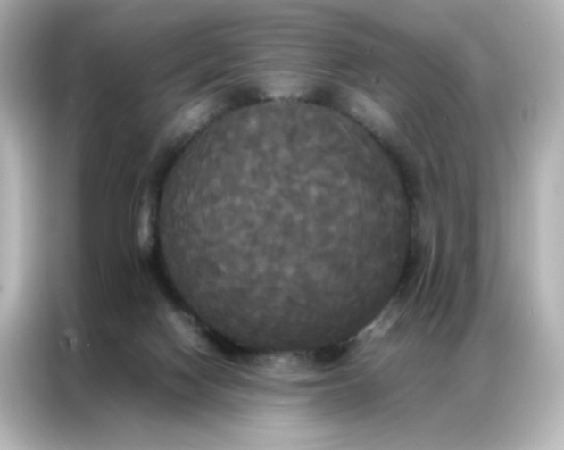 X0000086920074200704301105
