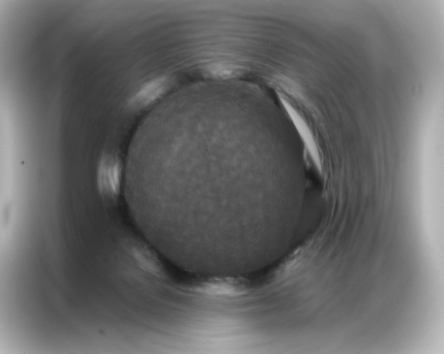 X0000086920076200704301105