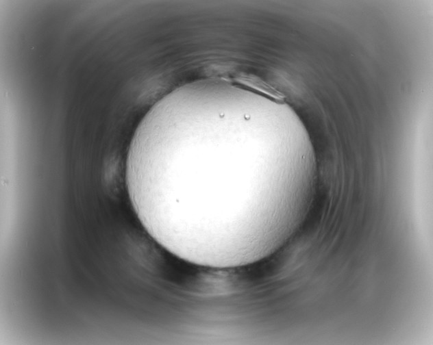 X0000086920079200704301105
