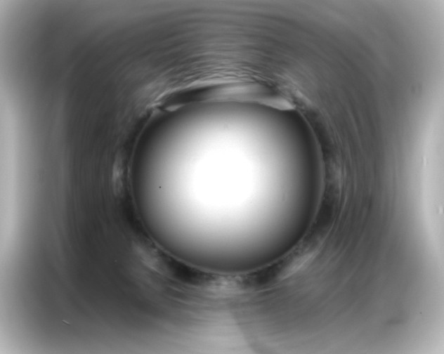 X0000086920080200704301105