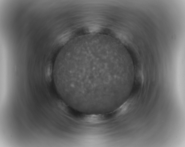 X0000086920082200704301105